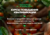 Приглашаем на курсы повышения квалификации